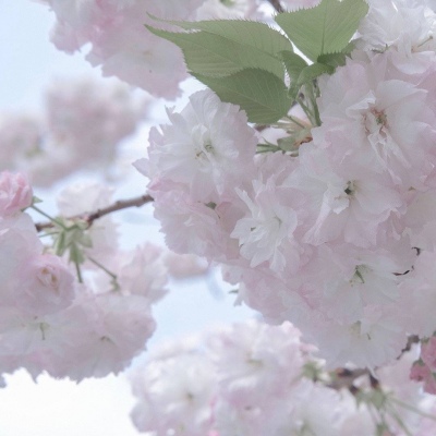 Furry绘画质感提升Furry群